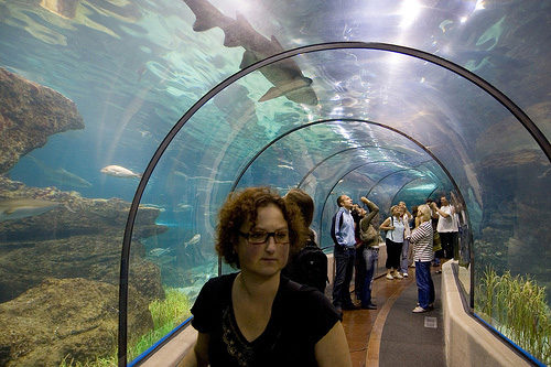 Barcelona Szállás - Barcelona Aquarium